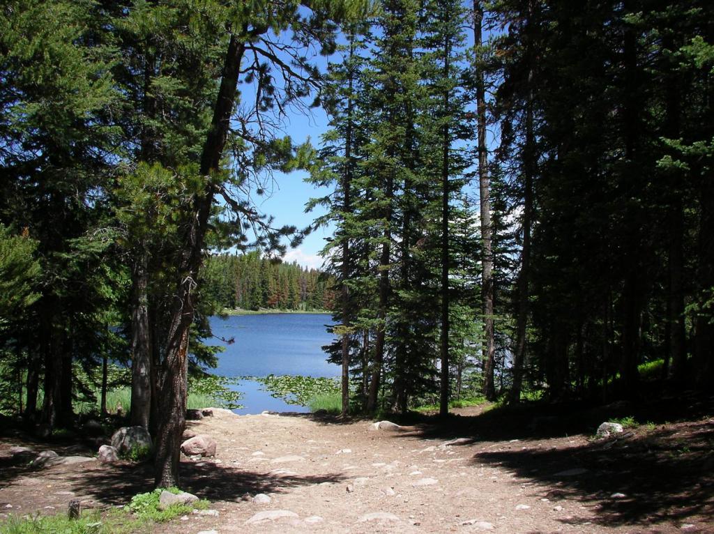 Road to Lake