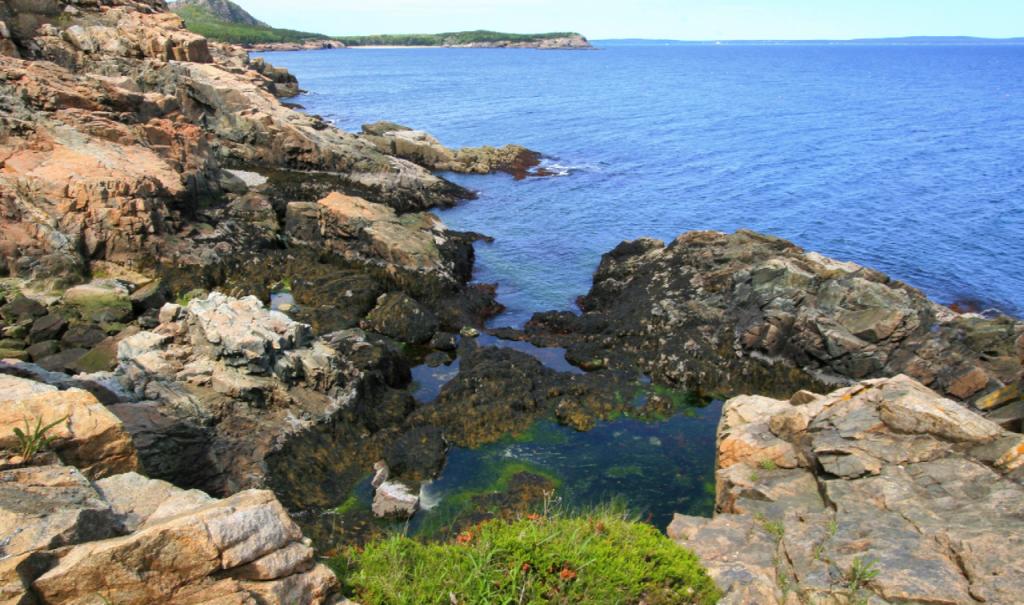 Rocky coast of Acadia National Park