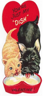 scottie & cat.jpg