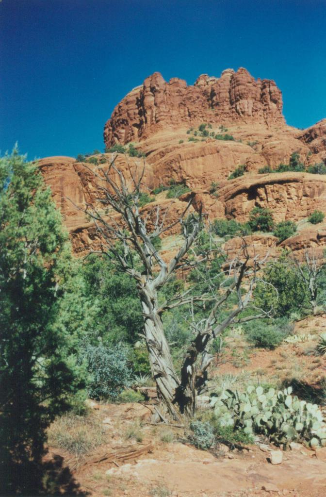 Sedona Red Rocks3
