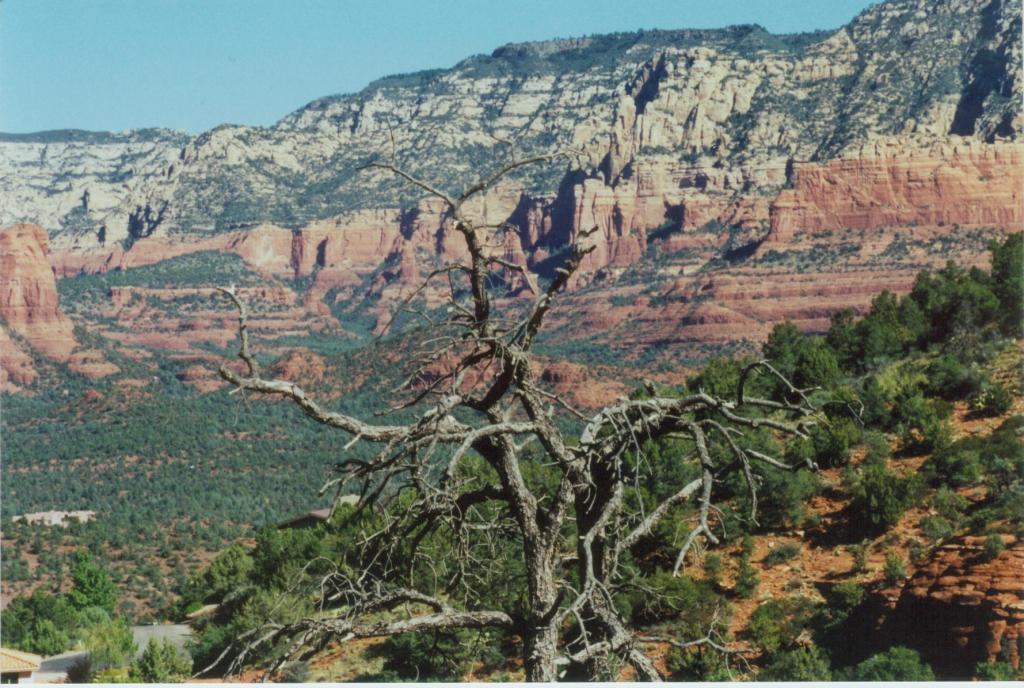 Sedona