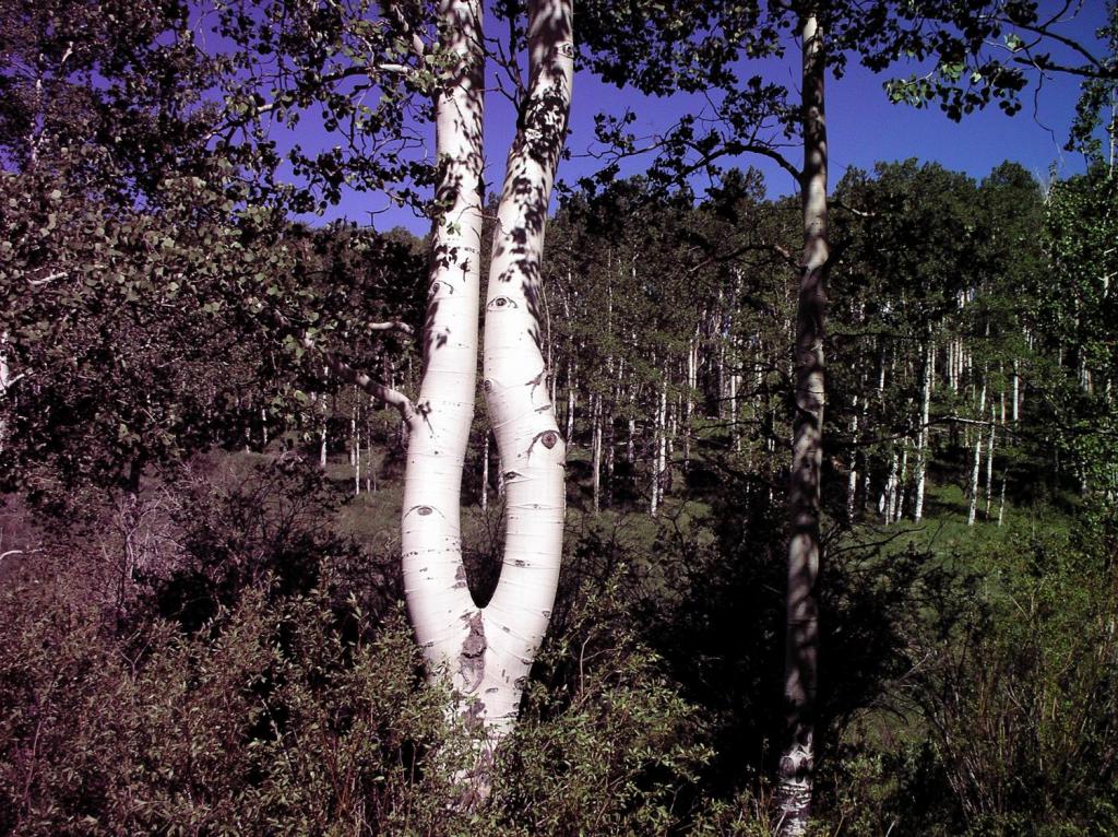 Sensual Mother Nature