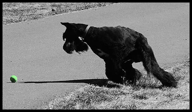 shadow points the way