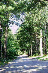 sm pine road