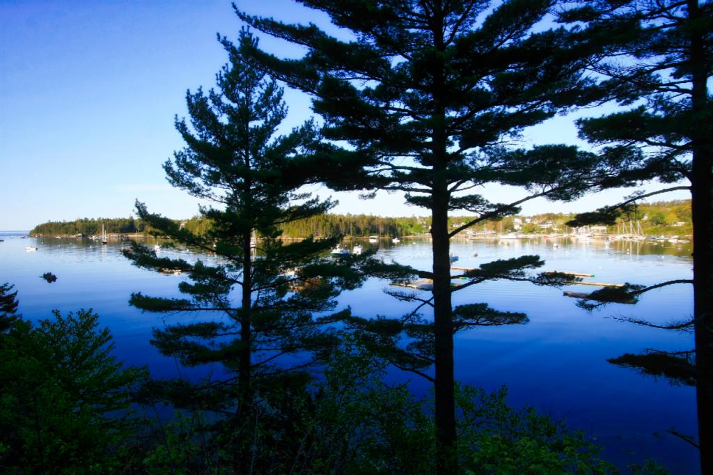 Southwest Harbor, Maine.  Early morning.