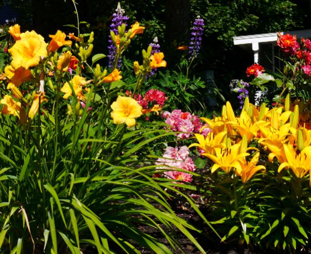Spring 2016