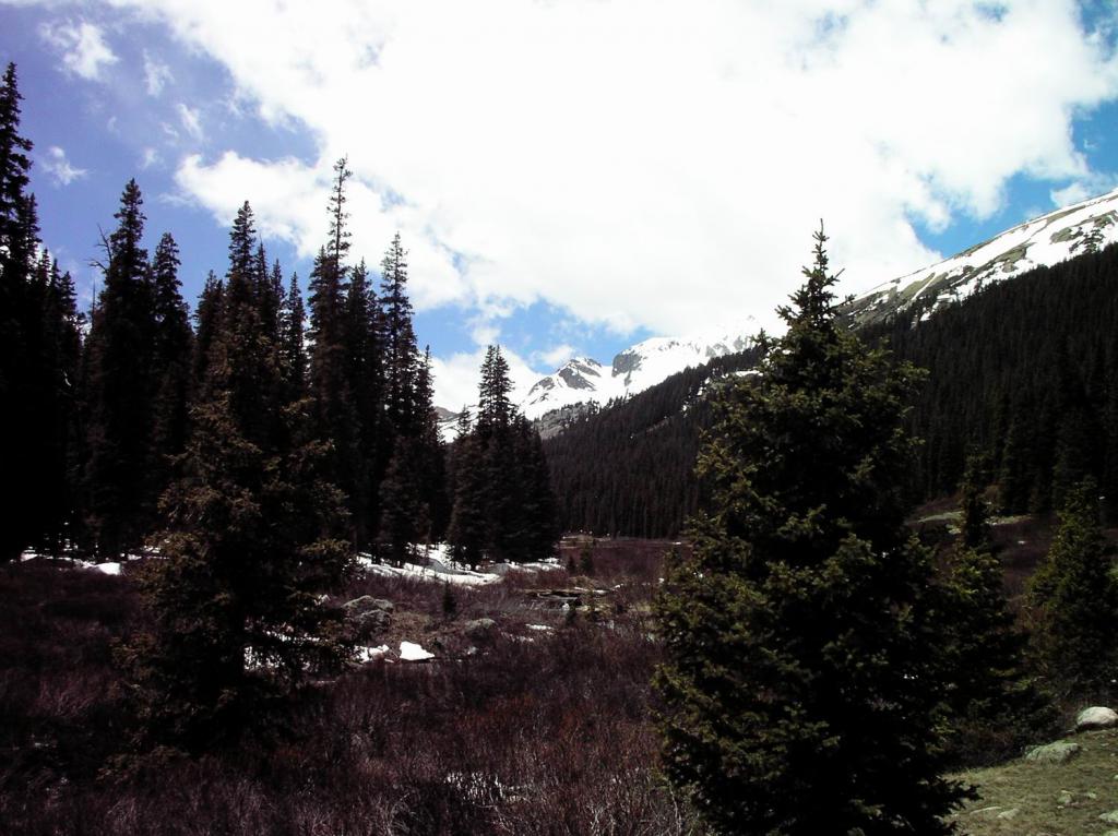 Spring Snow