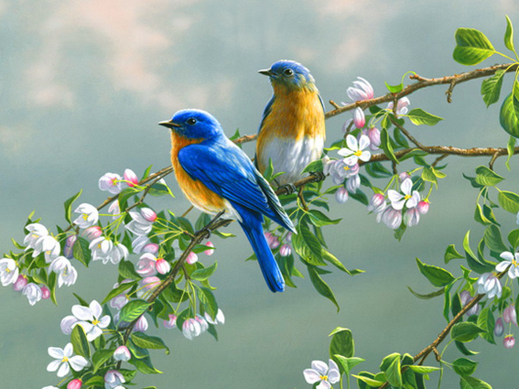 spring3