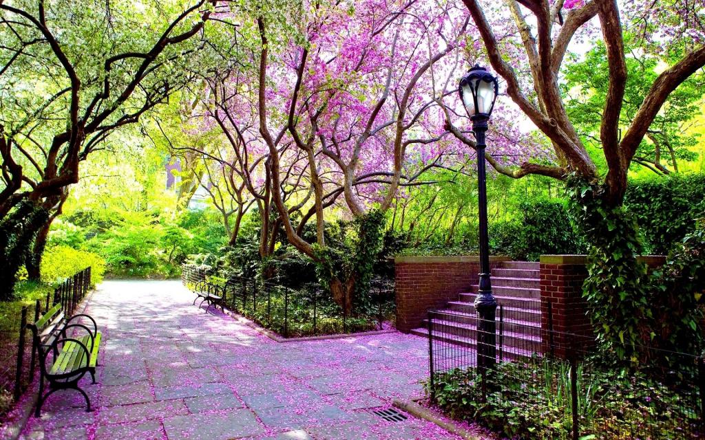 springbeautiful4