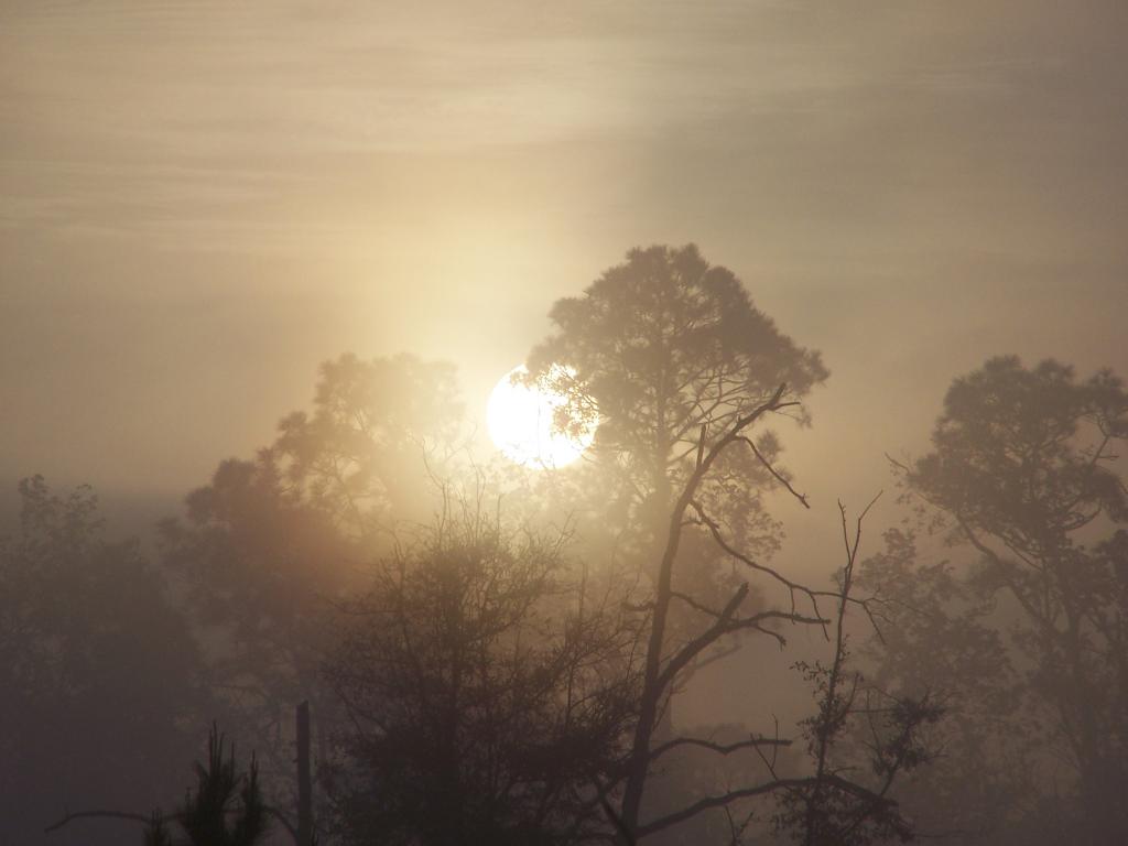 sunrise in a blind
