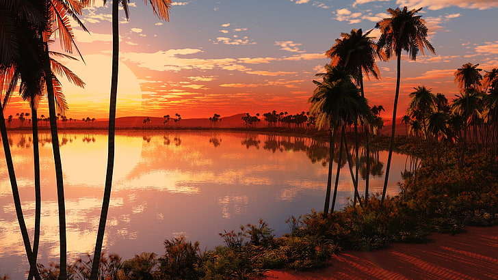 sunsettropics.jpg
