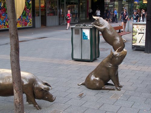 The Rundle Mall Pigs