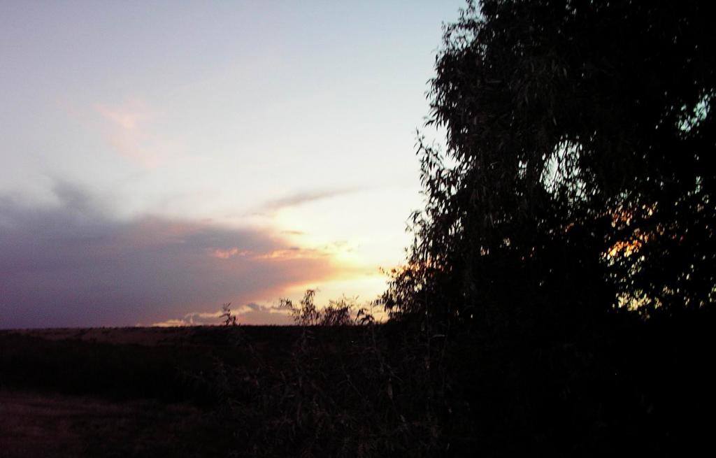 This Evening's Sky