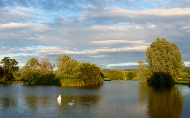 This was a small trout pond not far from a farmhouse we rented in Diddlebury in 2012.  Loved walking around here, especially in the early evening as t