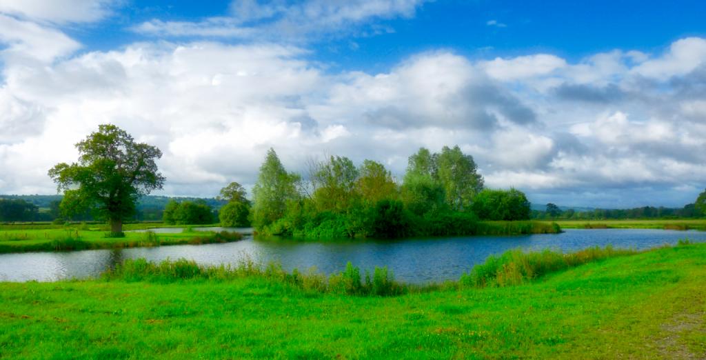 Trout Pond