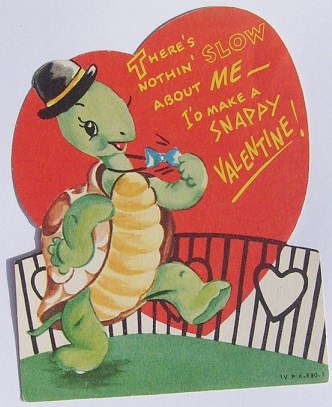 turtle.jpg