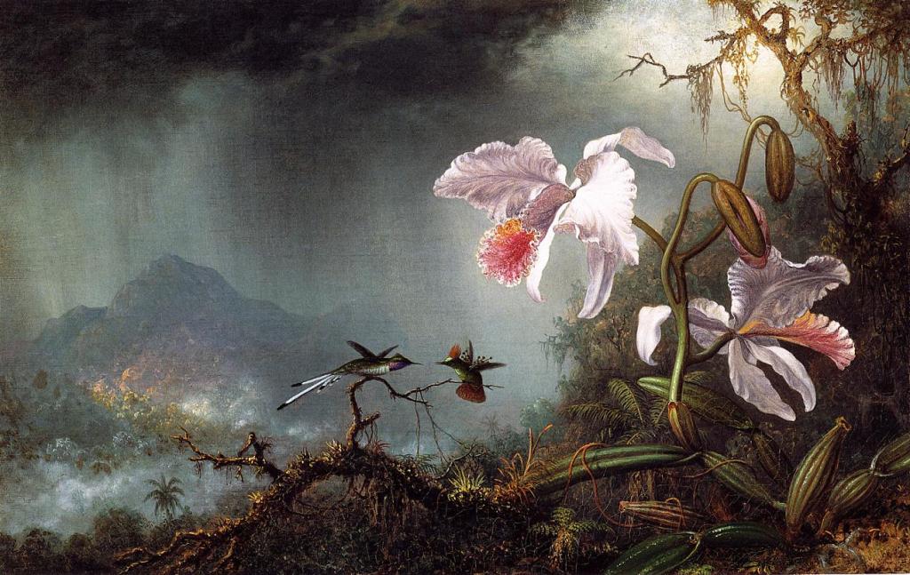 two fighting hummingbirds with two orchids martin johnson heade 1875