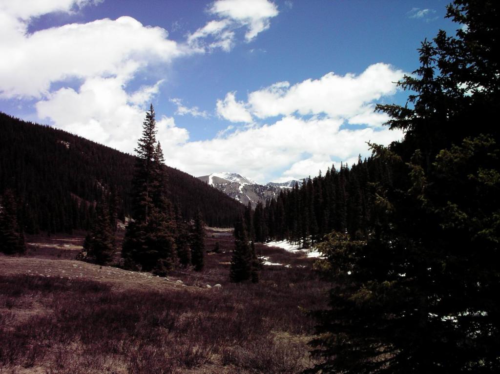 Valley and Snowy Mt.