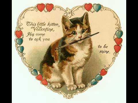 vintage cat2.jpg
