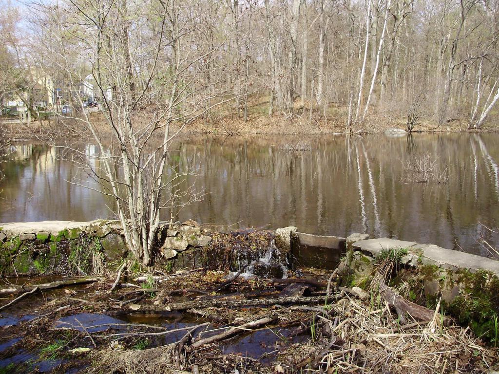waterlogs