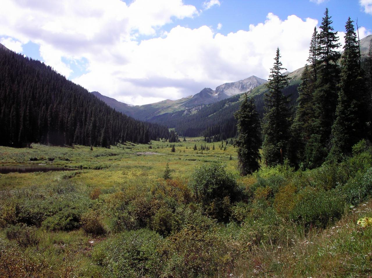Wilderness