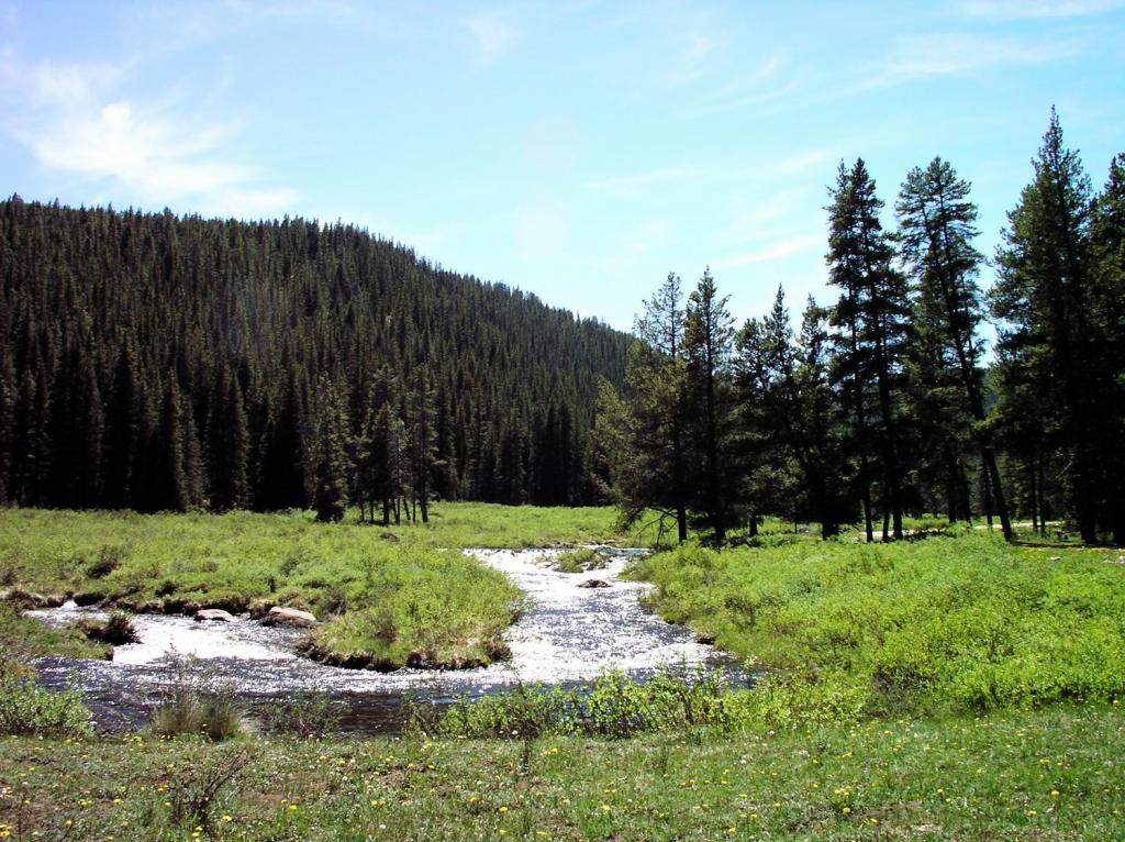 Winding River